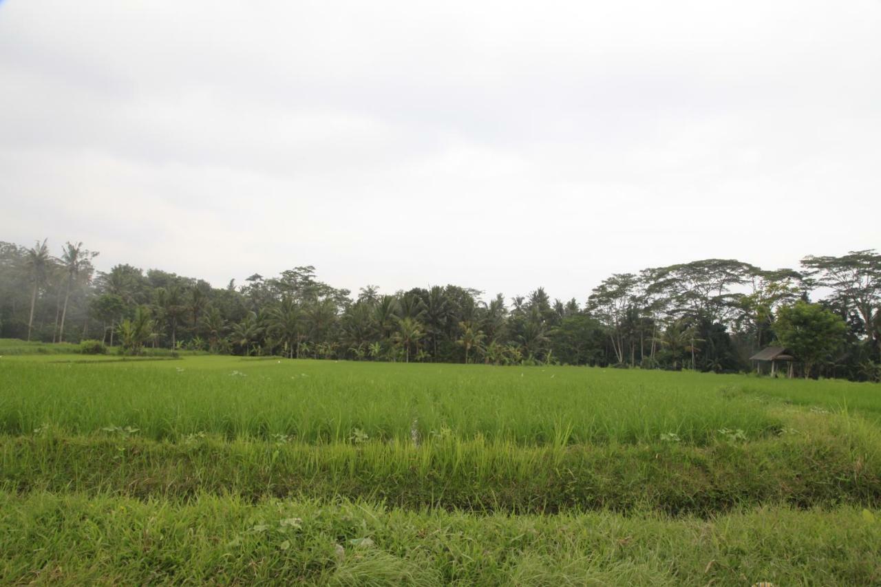 Pondok Gepokan Homestay Ubud Exteriör bild