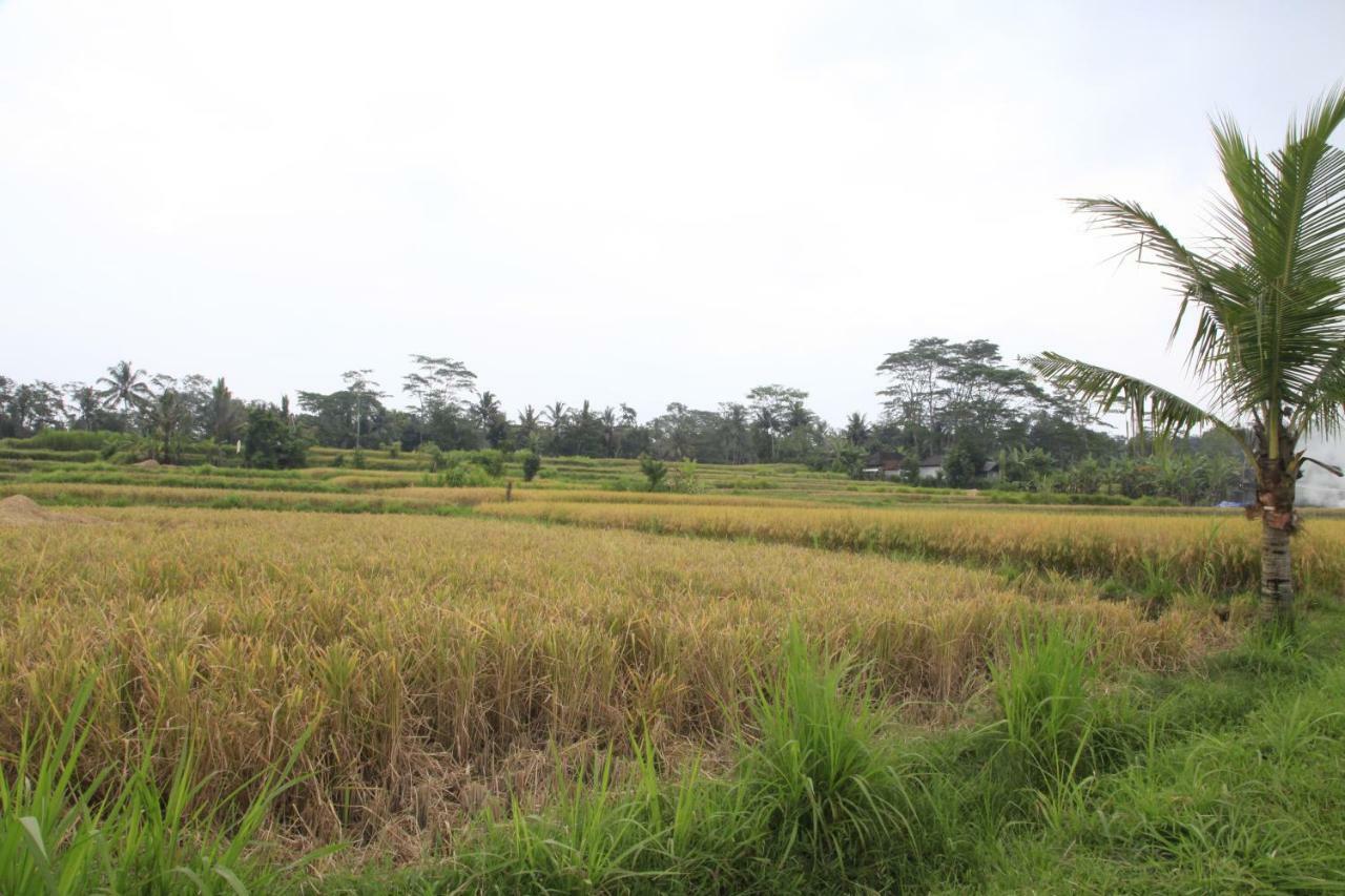 Pondok Gepokan Homestay Ubud Exteriör bild