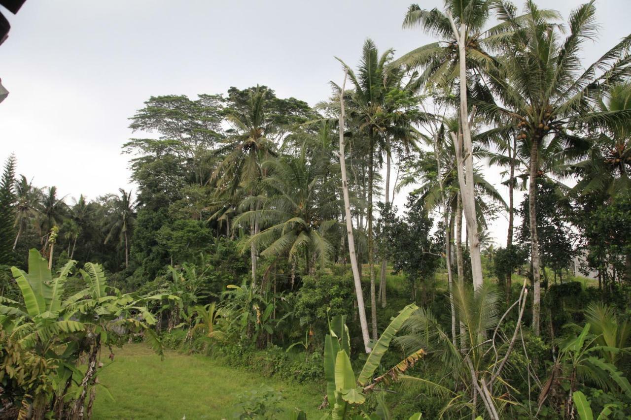 Pondok Gepokan Homestay Ubud Exteriör bild