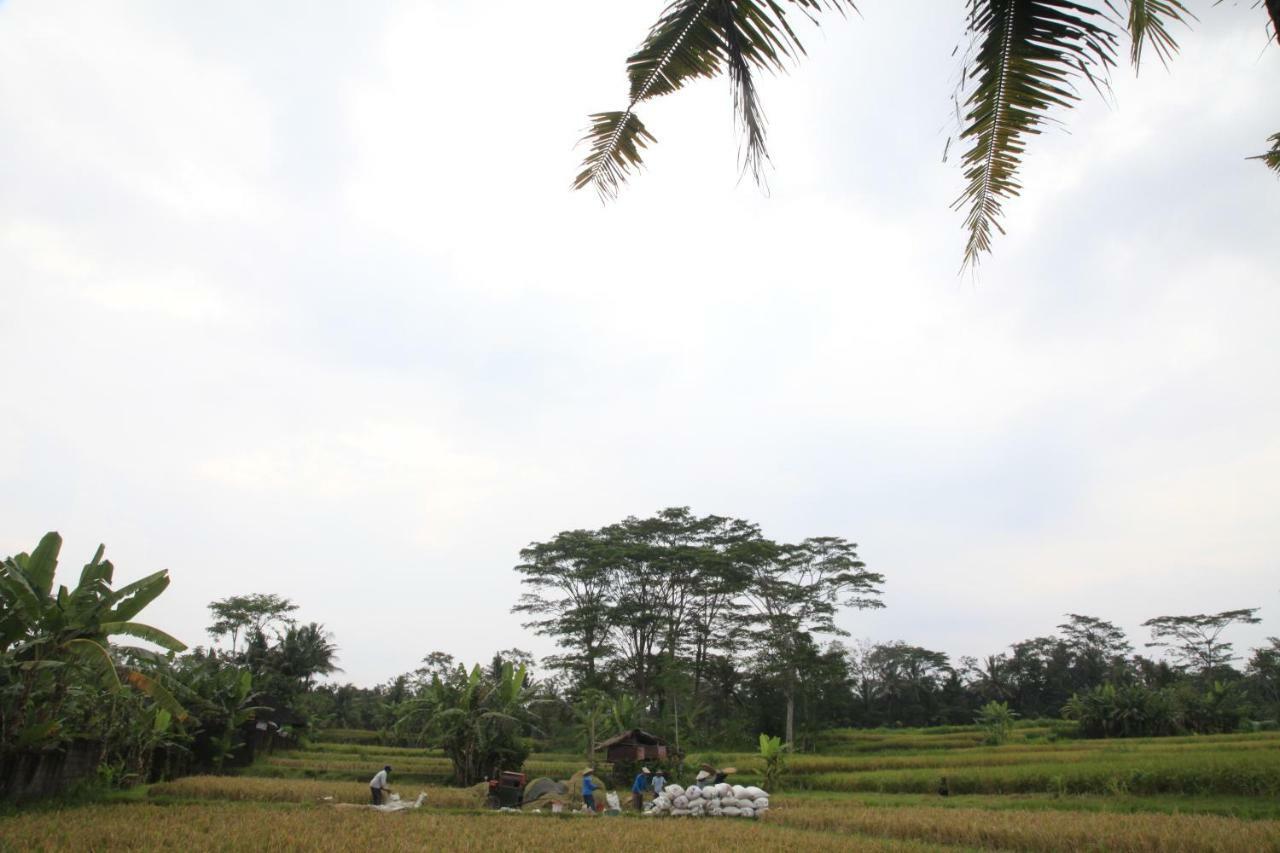 Pondok Gepokan Homestay Ubud Exteriör bild